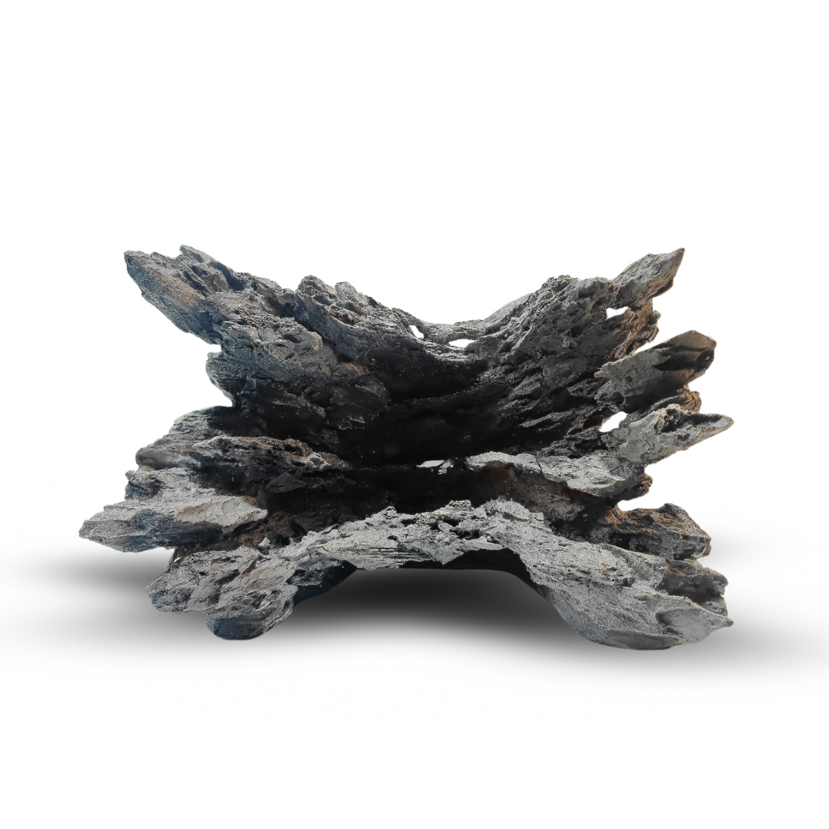 Remains 40cm